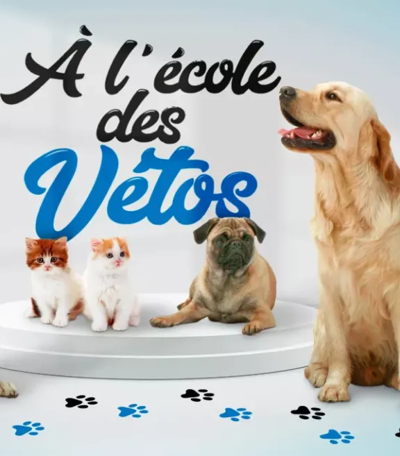 « À l'école des vétos ».